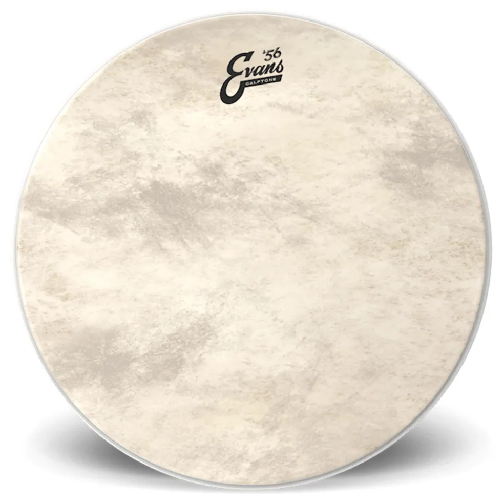 Evans 18" Calftone Bass