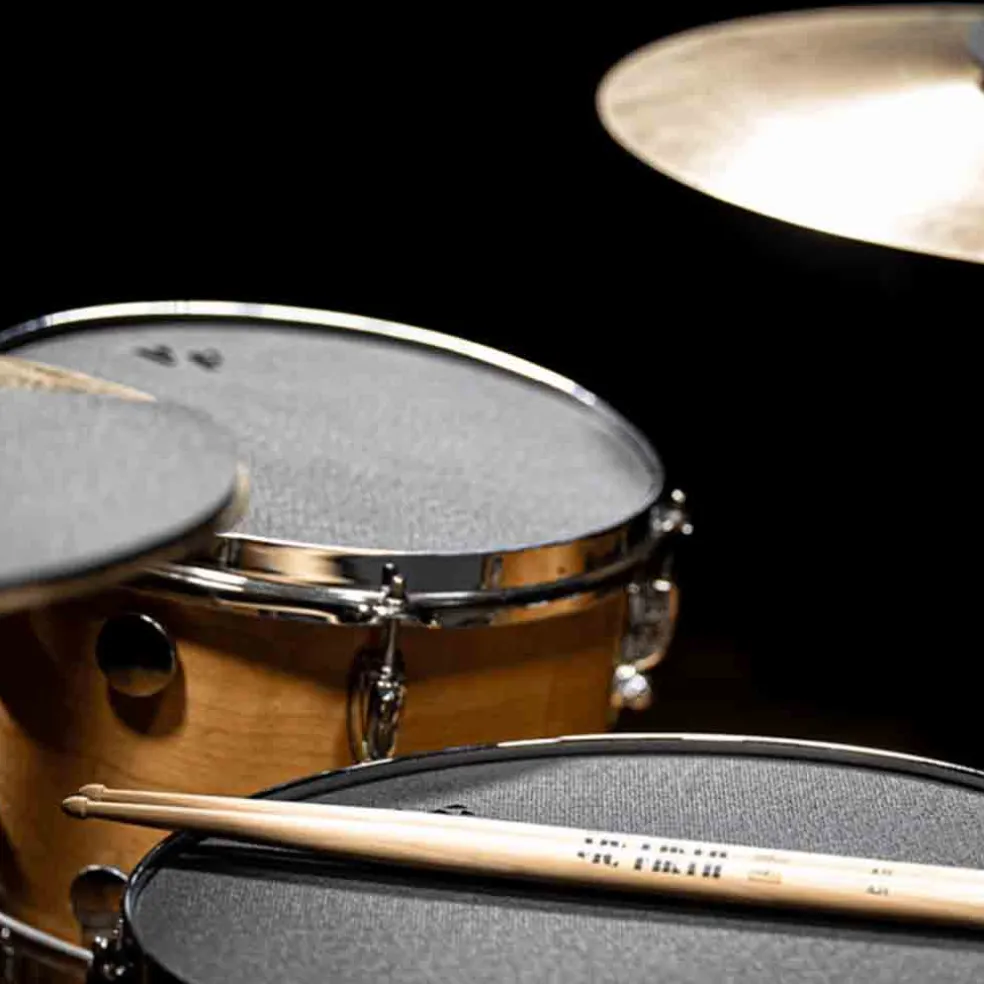 Vic Firth 14" Drum Mute